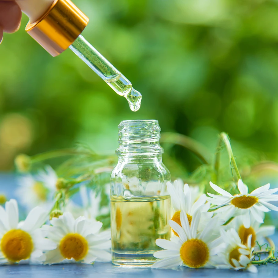Bosewelllia Extract